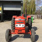 Tractor - Nuffield 4/65